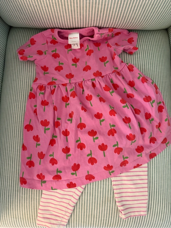 Hanna Andersson Other - Hanna Andersson Pink Red Green Tulip Skater Dress with Striped Leggings 24M